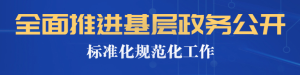 全面推進(jìn)基層政務(wù)公開(kāi)標準化規范化工作